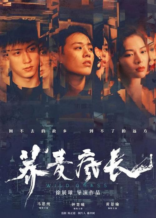 国际驾照与翻译件的区别